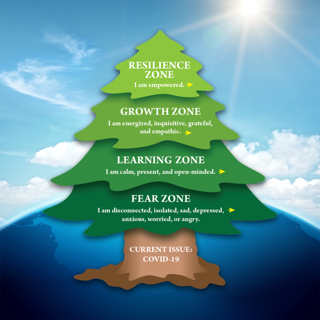 The resiliency tree for the current covid-19 issue. Developed by TLC Virtual Resiliency.